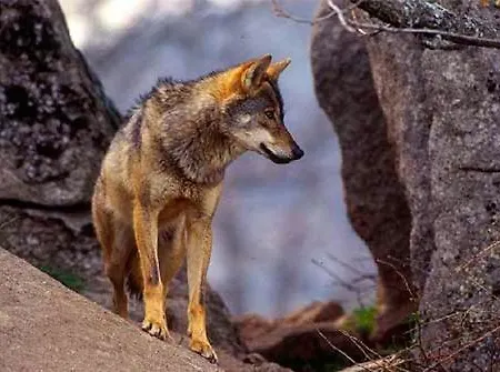 Casa Da Eira Сasa de vacaciones