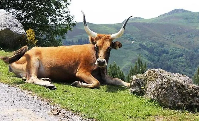 Casa de Férias Casa Da Eira Lobios