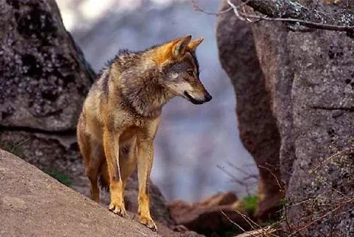 Casa Da Eira Semesterbostad