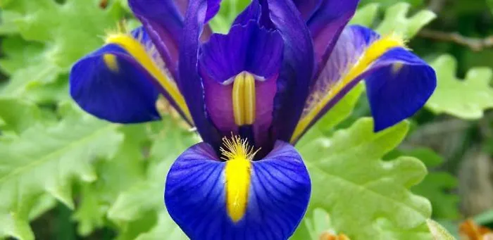 Casa de Férias Casa Da Eira Lobios